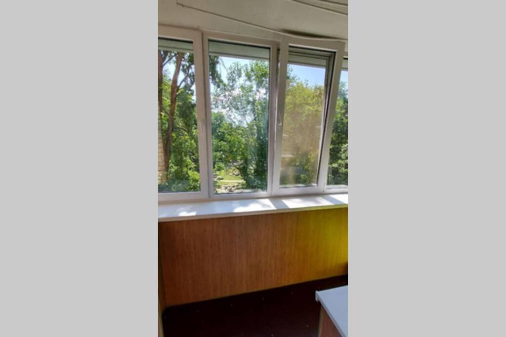 Cozy Flat Διαμέρισμα Κίεβο Εξωτερικό φωτογραφία